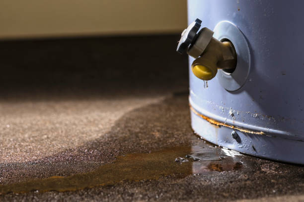 Best Water damage restoration near me  in Carolina Shores, NC