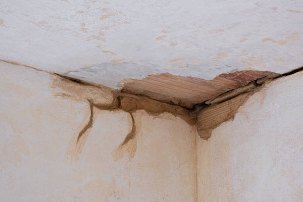 Best Local water damage restoration  in Carolina Shores, NC